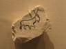 Ostracon with Sketch