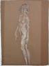 Standing Nude