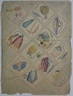 (Floral Designs in Squares)