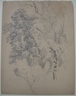Tree Study