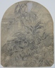 Ferns