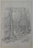 Landscape with Stream