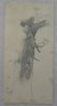 Tree Study