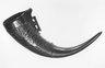 Drinking Horn