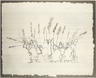 An Outline of History