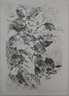 Dark Still-Life