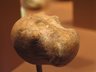 Mace Head in the Form of a Hippopotamus Head