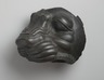 Fragment of a Head of a Colossal Lion