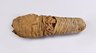 Ibis-Form Snake Mummies