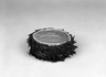 Coiled Basket