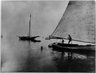 Sailboats, Coney Island, 1880
