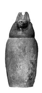 Brooklyn Museum: Canopic Jar and Lid (Depicting a Jackal)