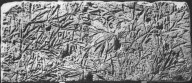 Brooklyn Museum: Relief of Vetch Plant