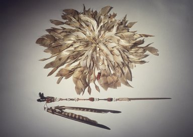 Brooklyn Museum: Head Plume (Wo-pol-do)