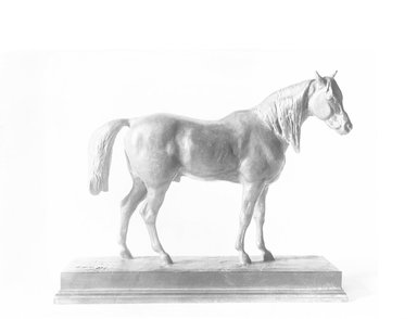 Brooklyn Museum: Half-Blood Horse with Raised Head