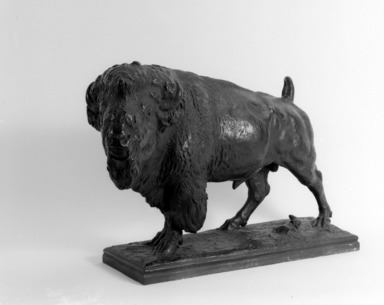 Buffalo