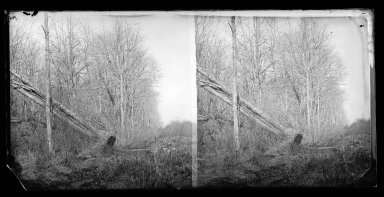 Brooklyn Museum: Up the Trout Brook, New Lots, Brooklyn