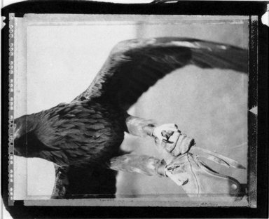 Brooklyn Museum: [Untitled] (Eagle)