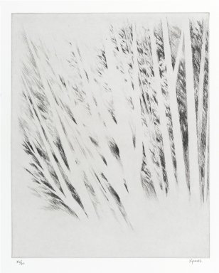 Brooklyn Museum: Pages from a sketchbook  #2