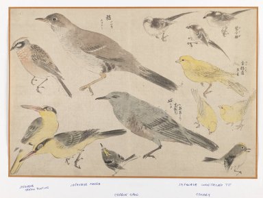 Brooklyn Museum: Birds in Okyo Style