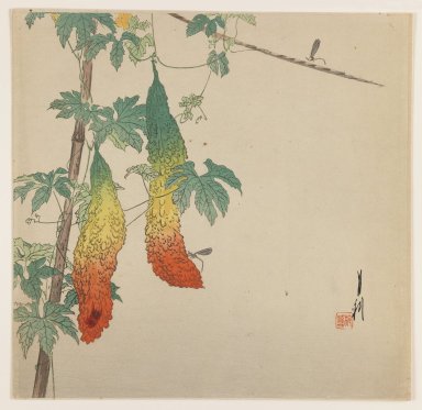 Brooklyn Museum: Gourds and Wasp