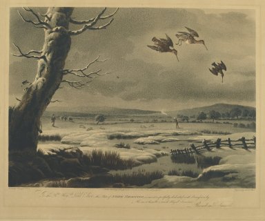 Brooklyn Museum: Snipe Shooting