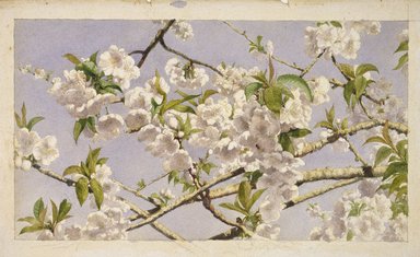 Brooklyn Museum: Apple Blossoms