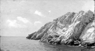 Brooklyn Museum: Rocky Coast