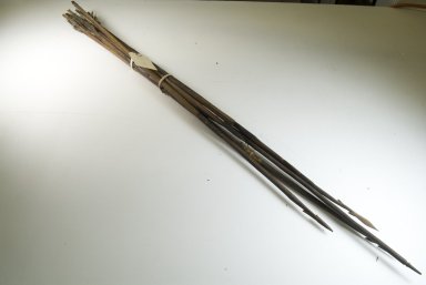 Brooklyn Museum: Poisoned Darts