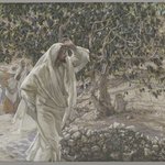 The Accursed Fig Tree (Le figuier maudit)