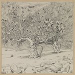 Fig-tree, Valley of Hinnom