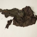 Blanket Fragments