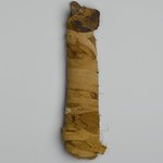 Cat Mummy