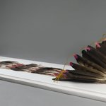 Headdress or Feathered Bonnet