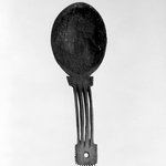 Spoon