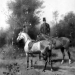 Horses and Mounted Groom