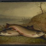 Trout