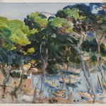 Port of Soller