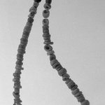 Beaded Necklace