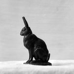 Seated Hare (Li&egrave;vre assis)