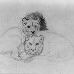 Two Lions