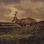 Stag Walking (Cerf marchant)