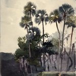 Homosassa River