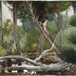 In the Jungle, Florida