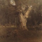 Royal Beech in New Forest, Lyndhurst