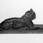 Princeton Tiger