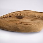 Ibis Mummy