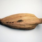 Mummified Ibis