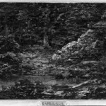 The Edge of the Woods