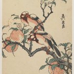Pomegranates and Birds